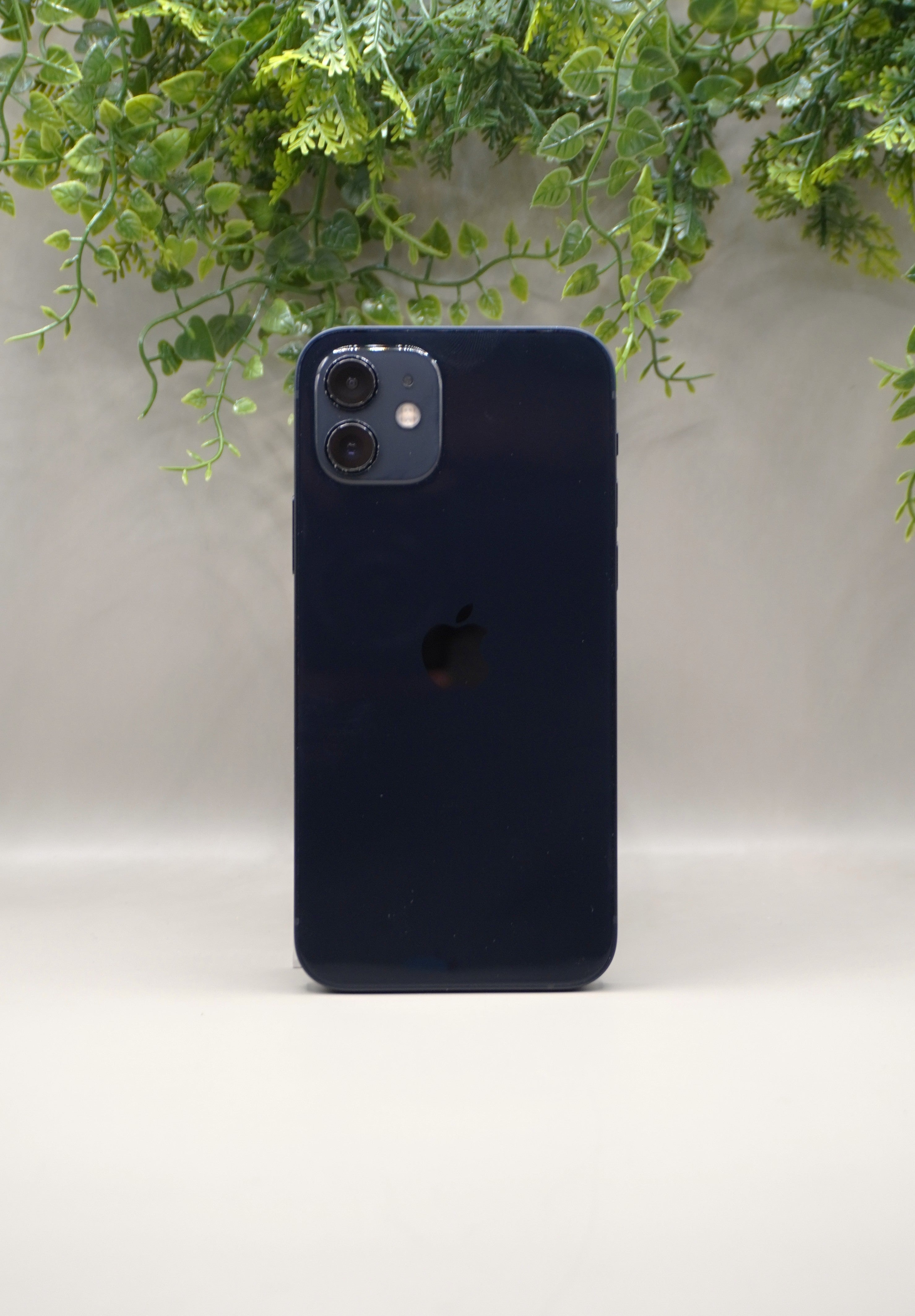 iPhone 12 -128Go