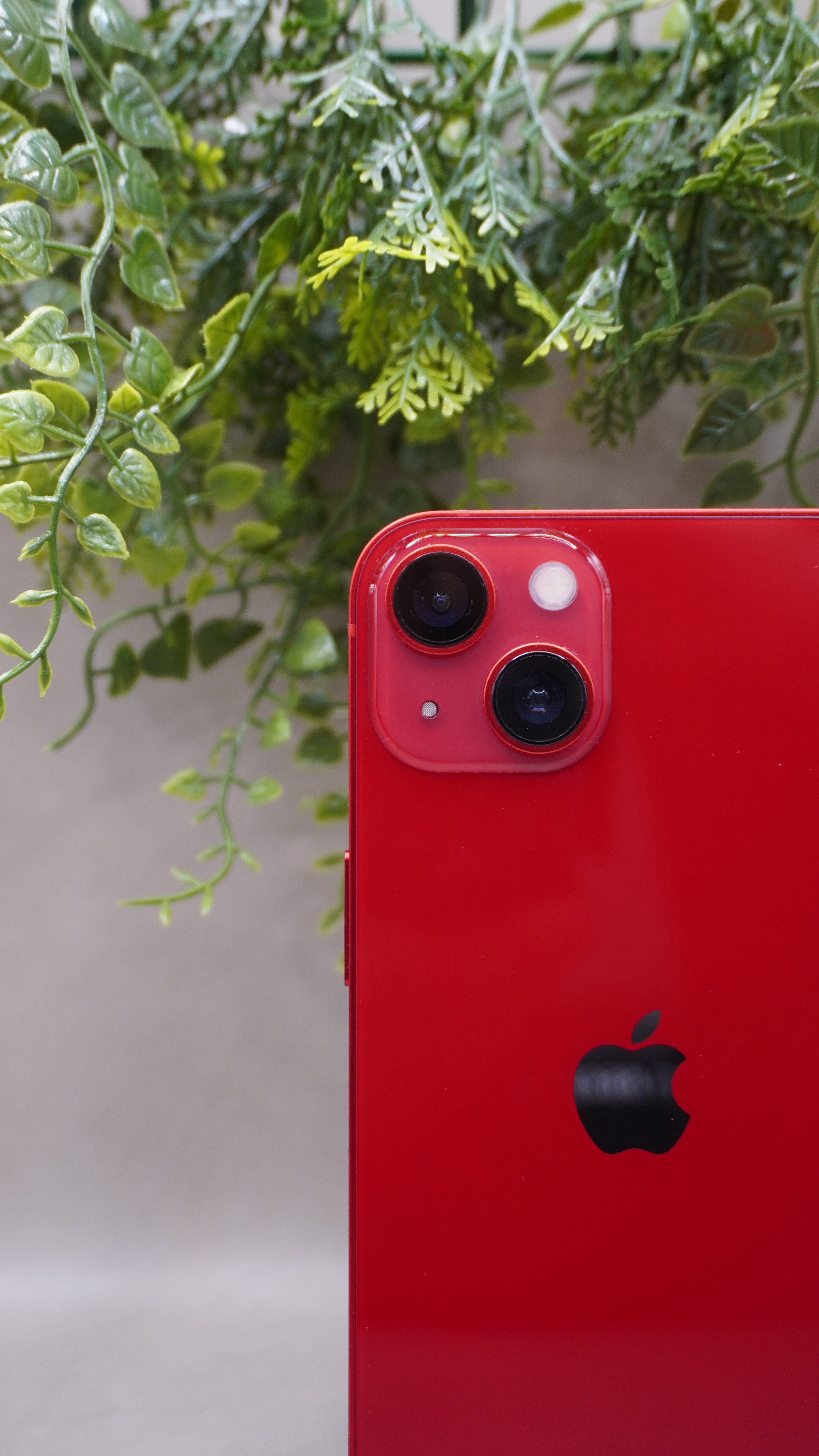 iPhone 13- 128Go