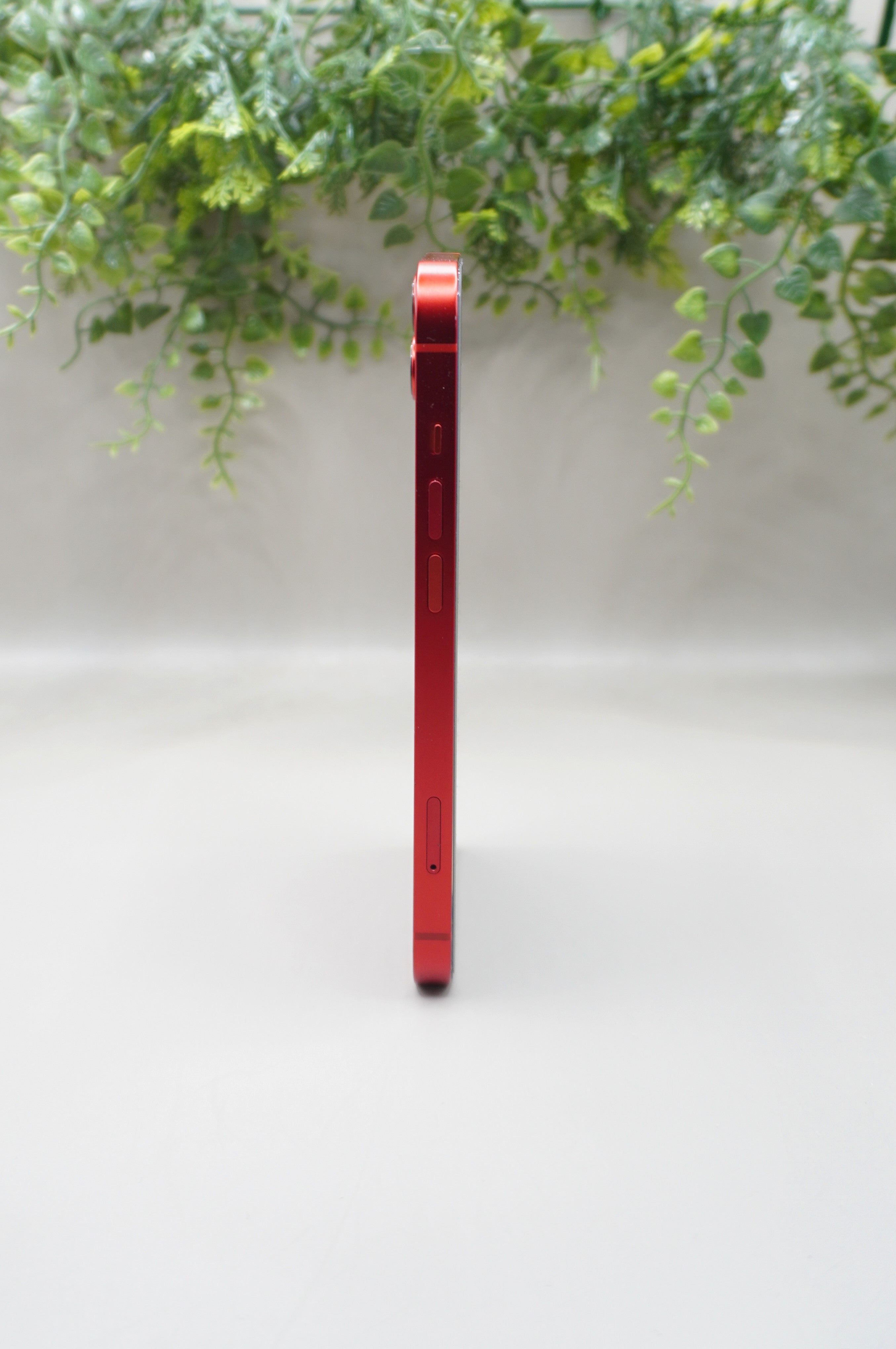 iPhone 13- 128Go