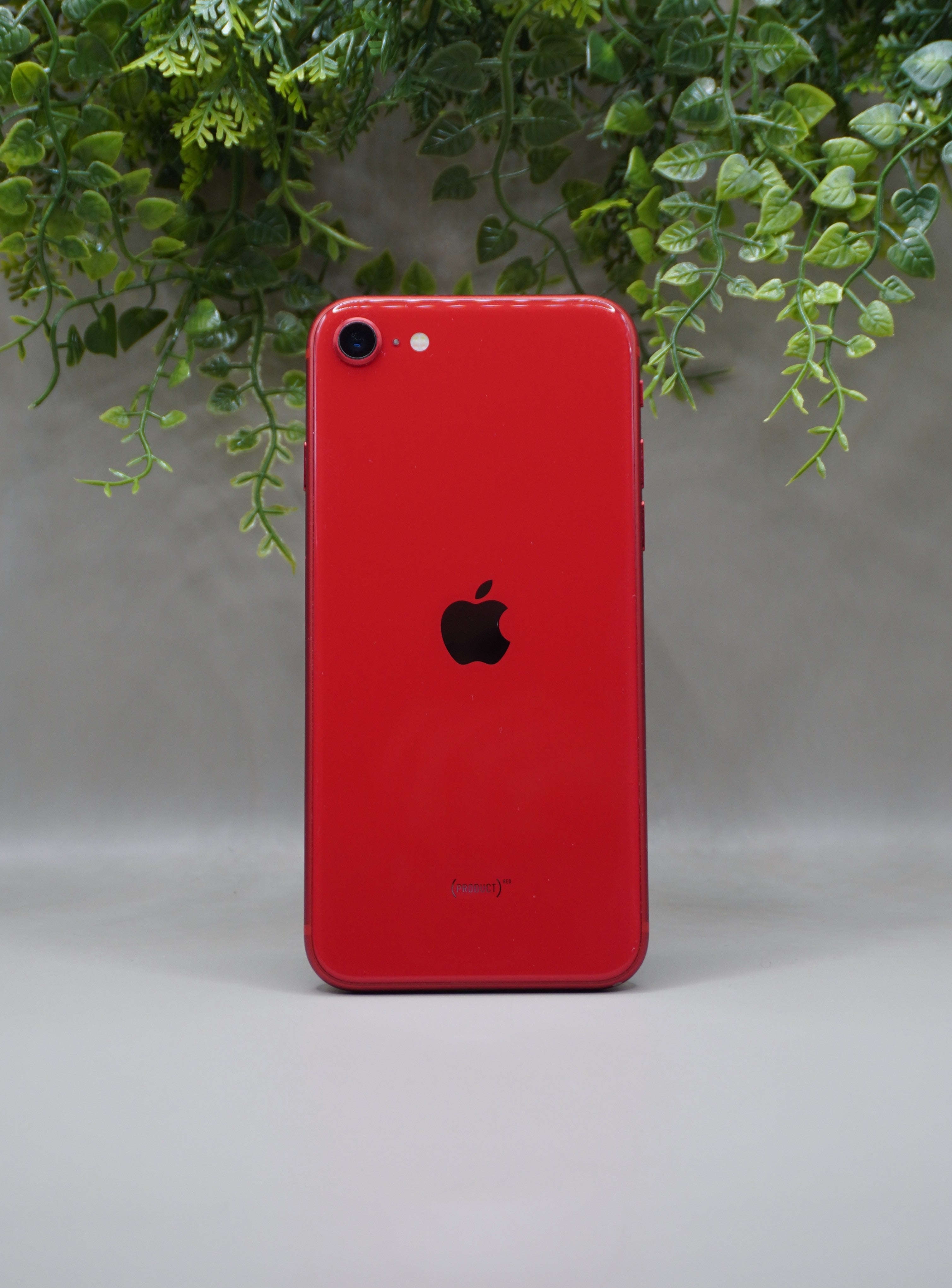 iPhone SE 2020 - 64 Go