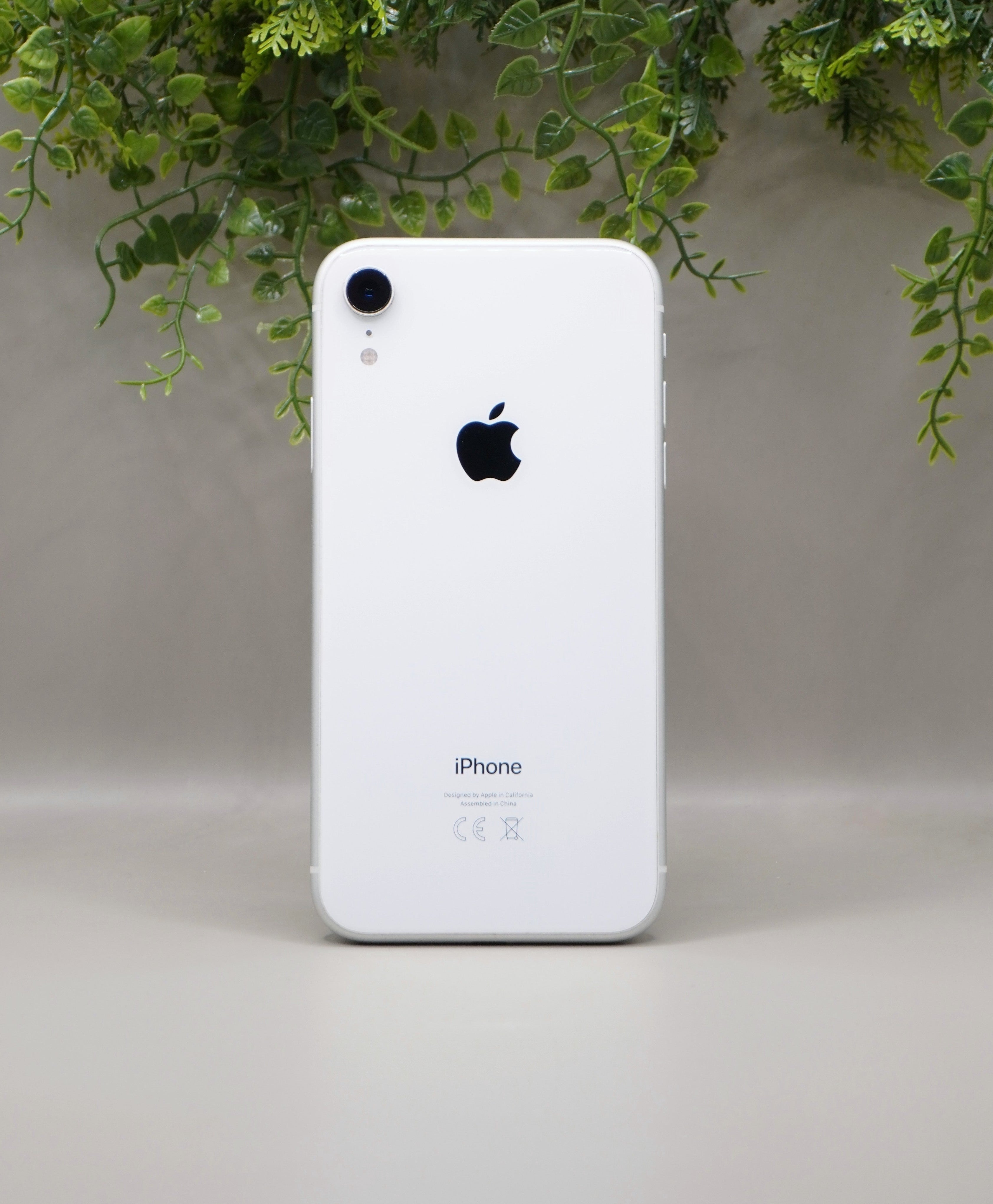 iPhone XR- 64Go