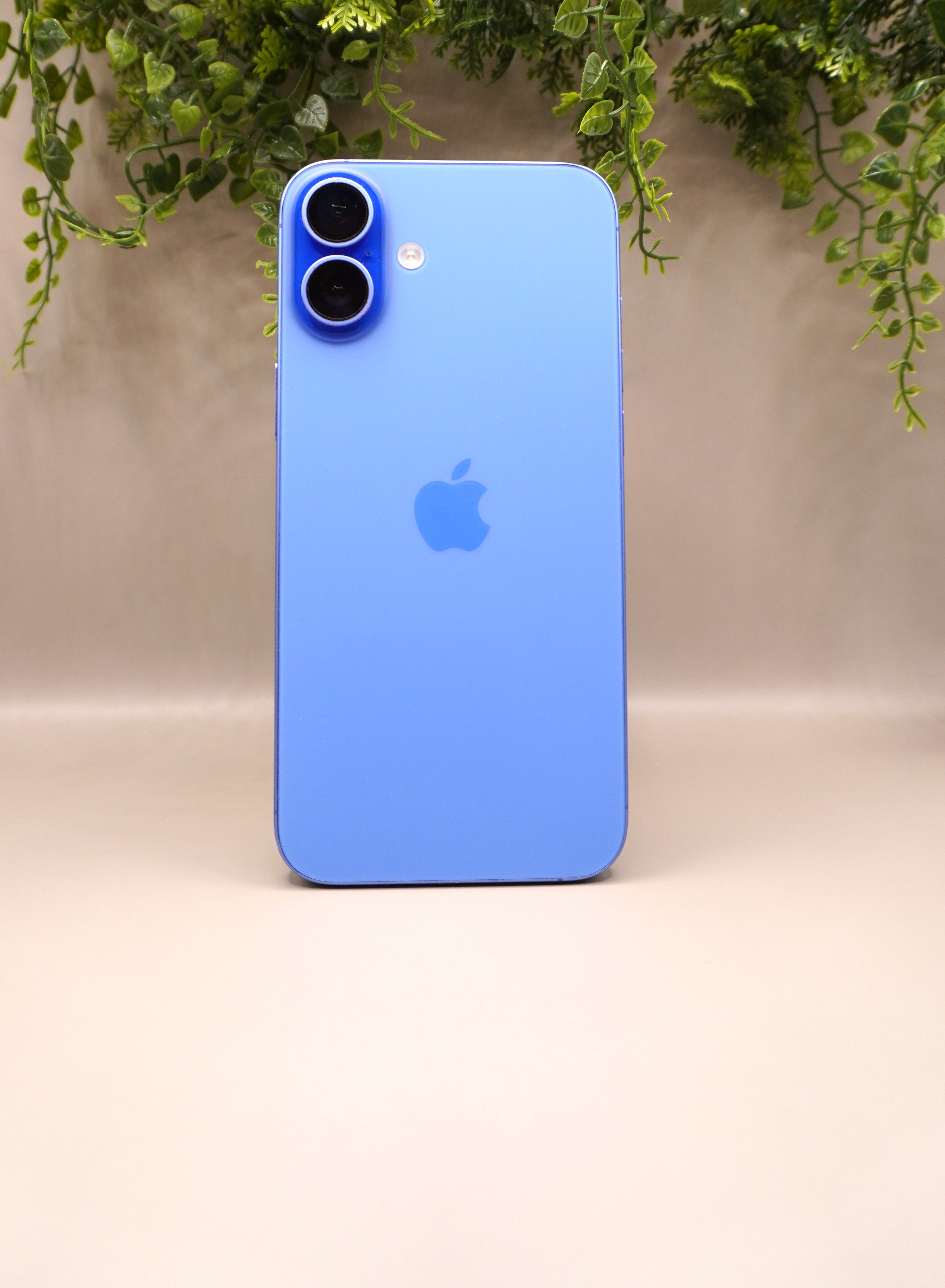 iPhone 16 Plus- 128Go