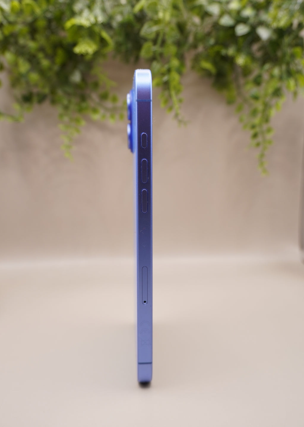 iPhone 16 Plus- 128Go